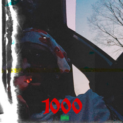 EDO - 1000