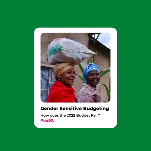 Stream Gendered reflections on Zimbabwe's 2022 National Budget (Part 2