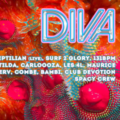 Combe • DIVA 15/08/2024 • Macadam, Nantes