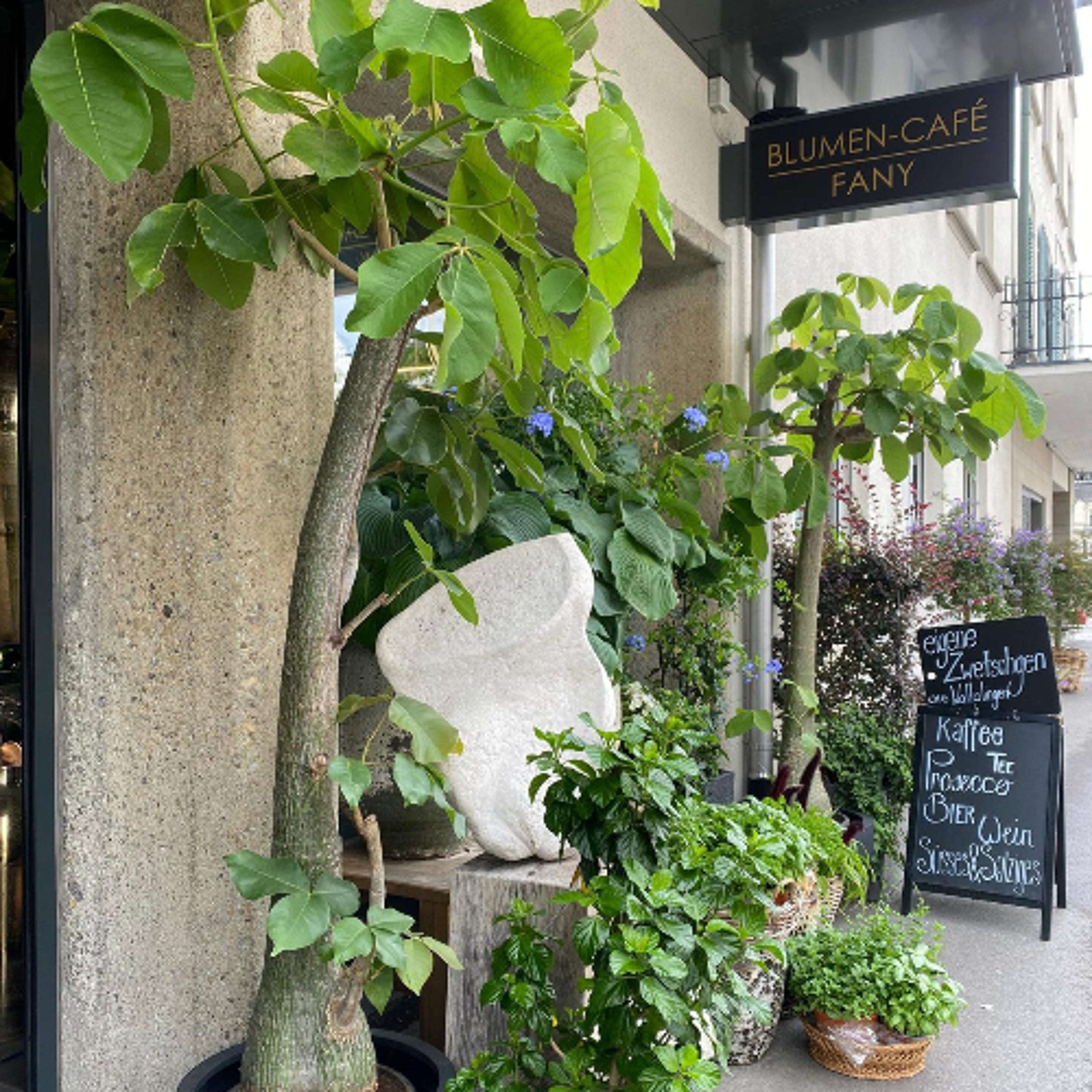 Zwischen Kaffee, Quarktorten und Blumen (22.05.) episode artwork