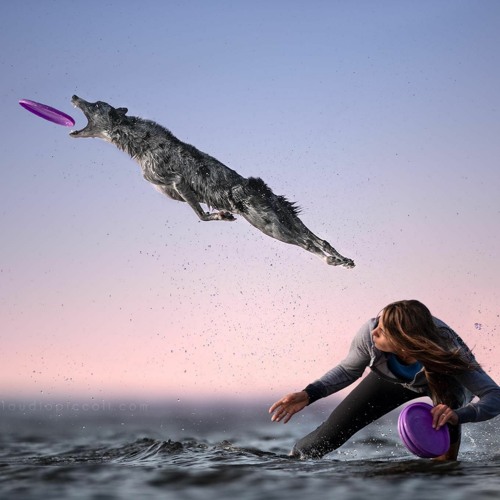 Catch!