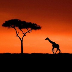 🔥2021 SOUTH AFRICAN HOUSE MIX | BLACK COFFEE, &ME, LEE BURRIDGE, MANUEL TUR, RAMPA, PHCK, ADAM PORT