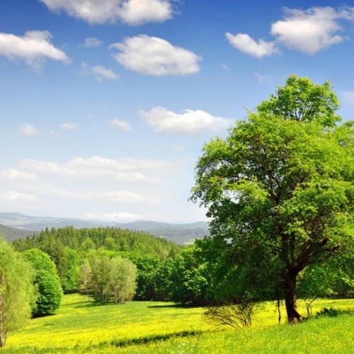 Başıma romantic background music DOWNLOAD