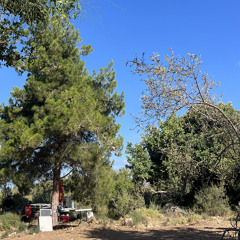 DoReactor B2B Psilocybin Freak - דחליל - 2024 - 06 - 01