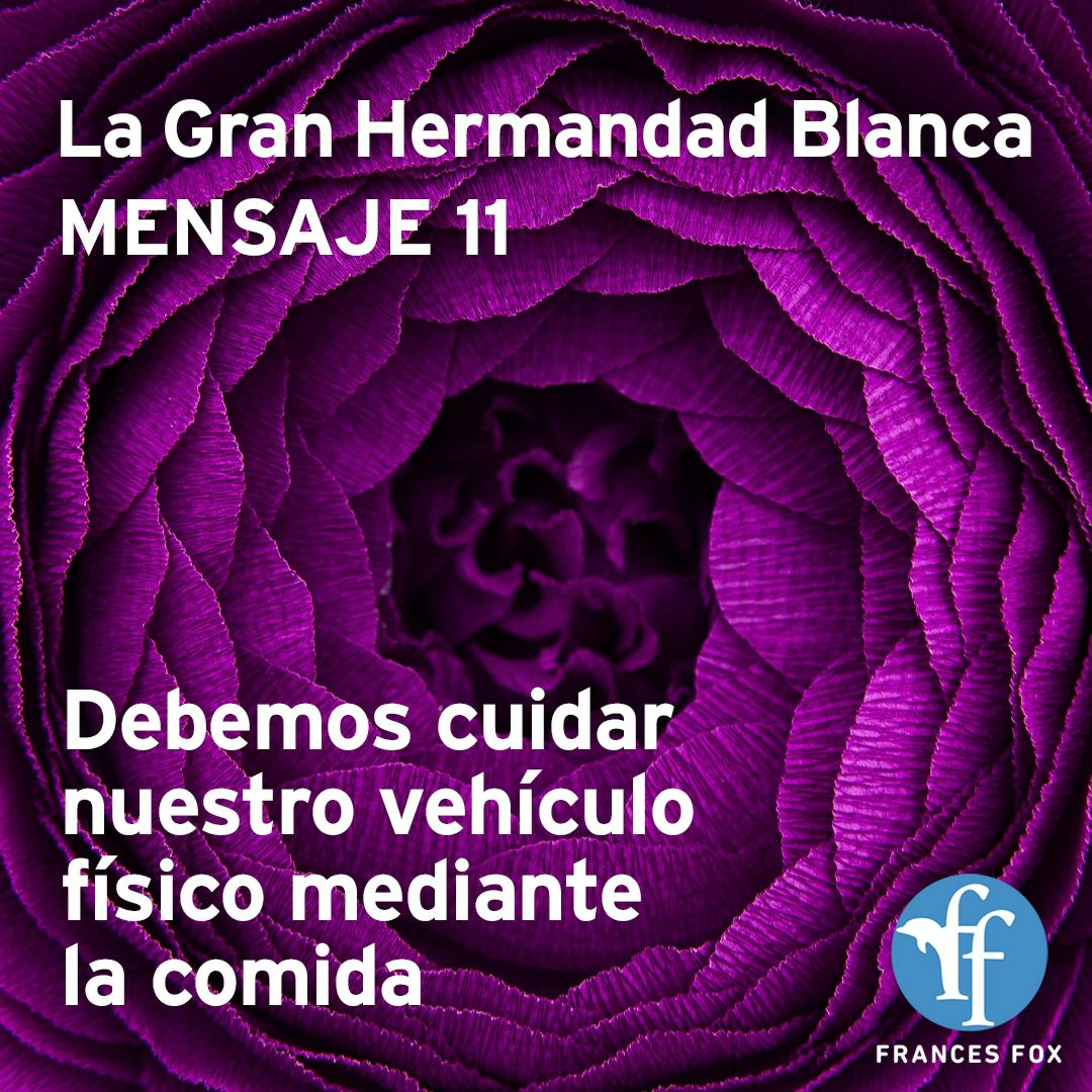 Gran Hermandad Blanca: Mensaje 11