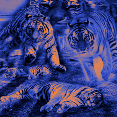 There's a Tiger in the Club [Mix] 05-10-2025