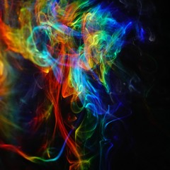The trip