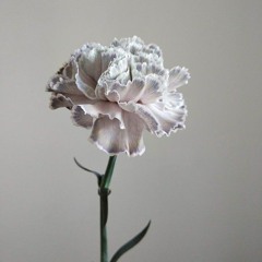 ANN KOVTUN - ВТОМА