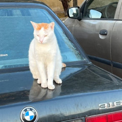 [2024_unfinished_demo] generic rally house beat