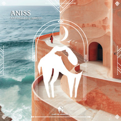 Antonello D'Arrigo - Aniss (Extended Mix)