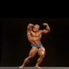 Gym Motivational | De Platz | INSANEX
