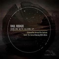 The Bedouin - Raul Robado (Original mix)