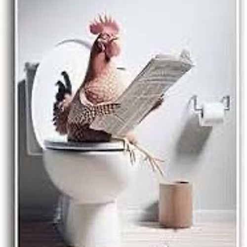 Untouchable Kok (tiktok audio)