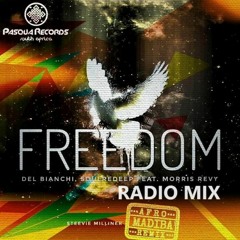 DEL BIANCHI & SoulRedeep Feat. Morris Revy - FREEDOM (Steevie Milliner AFRO MADIBA Rmx) (Radio Mix)