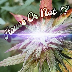 House Or Not !?