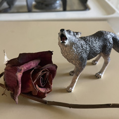 If it’s not my time