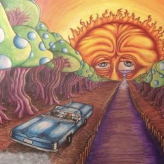 Shroom trip (realsreal)