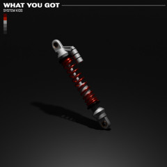 SYSTEM KIDS - What You Got