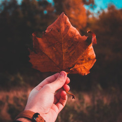 (Slowed) BTS - Autumn Leaves