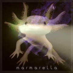 La Marmota - Axolotl