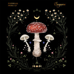 Premiere: Madraas - Meiku (Extended Mix) [Songuara]