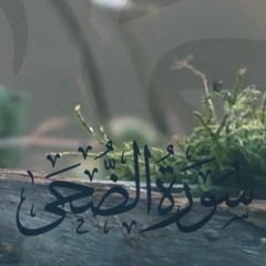 سورة الضحي | والضحى والليل إذا سجى | أداء القارئ أنس اشرف