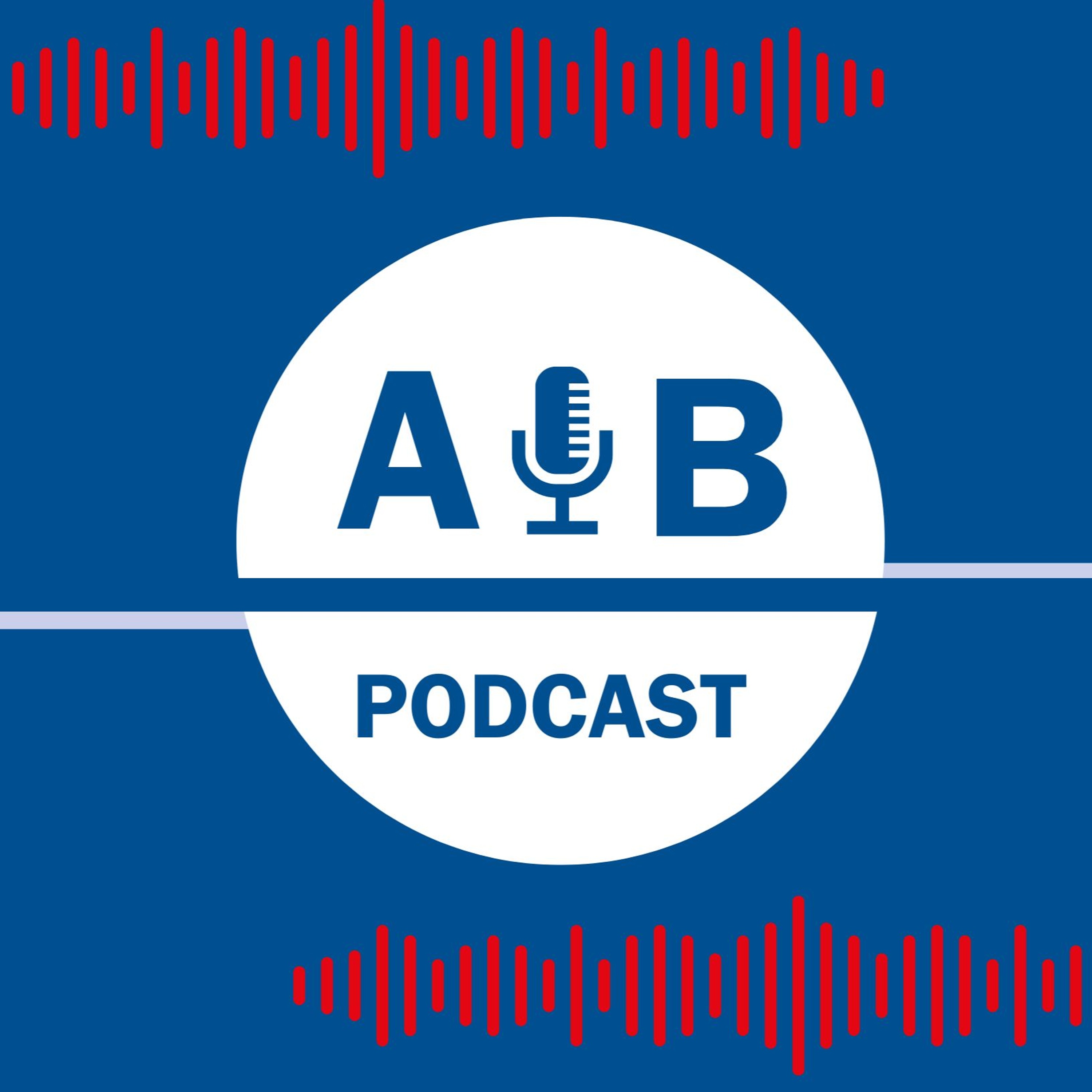 Episode 1: How will Poland steer the EU & EU’s relations with Asia during its 6-month rotating presidency and beyond? episode artwork
