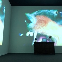 erin hopes - uncharted territory [pom poko remix]
