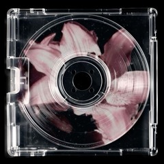Concertina ballerina (slowed and reverb)