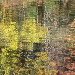 ...as the reflection of green ripples in the water..._水中绿影_for violin and cello (2022)