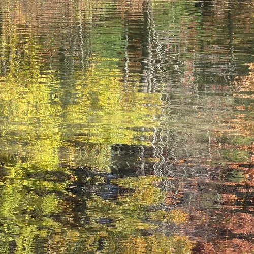 ...as the reflection of green ripples in the water..._水中绿影_for viola and cello (2022/Rev. 2024)