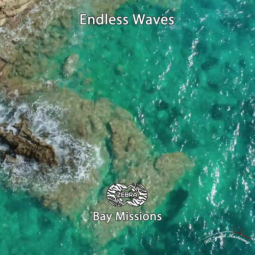 Endless Waves - Bay Missions EP • Zebra Rec. [ZBREP025] • 2021