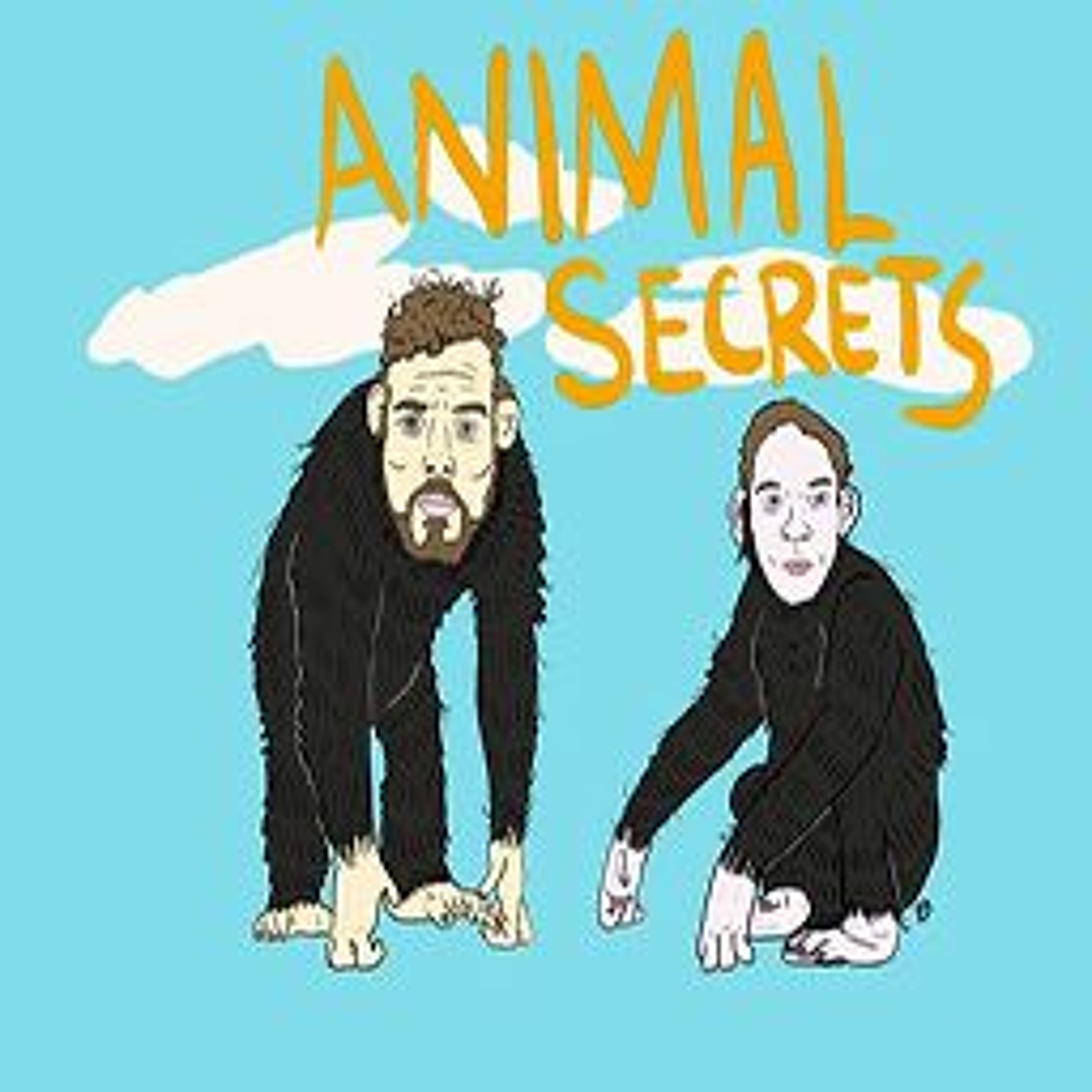 Animal Secrets Podcast