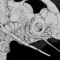 ZULI W/ S280F 011225