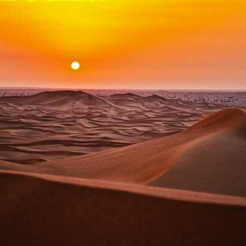 Orchestra Walking In The Desert