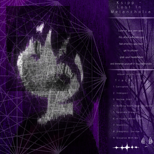 Virtually Wired (VIP)