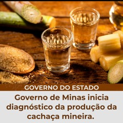 Governo de Minas inicia diagnóstico da produção da cachaça mineira.