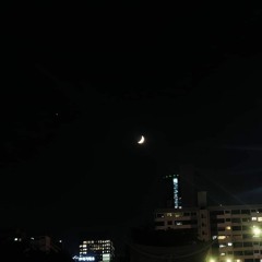 Night