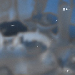 nunsen·tape 23 - g u i