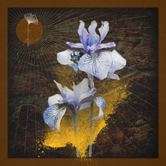 Close (D-Formation Remix) [feat. Hellogoodbye]