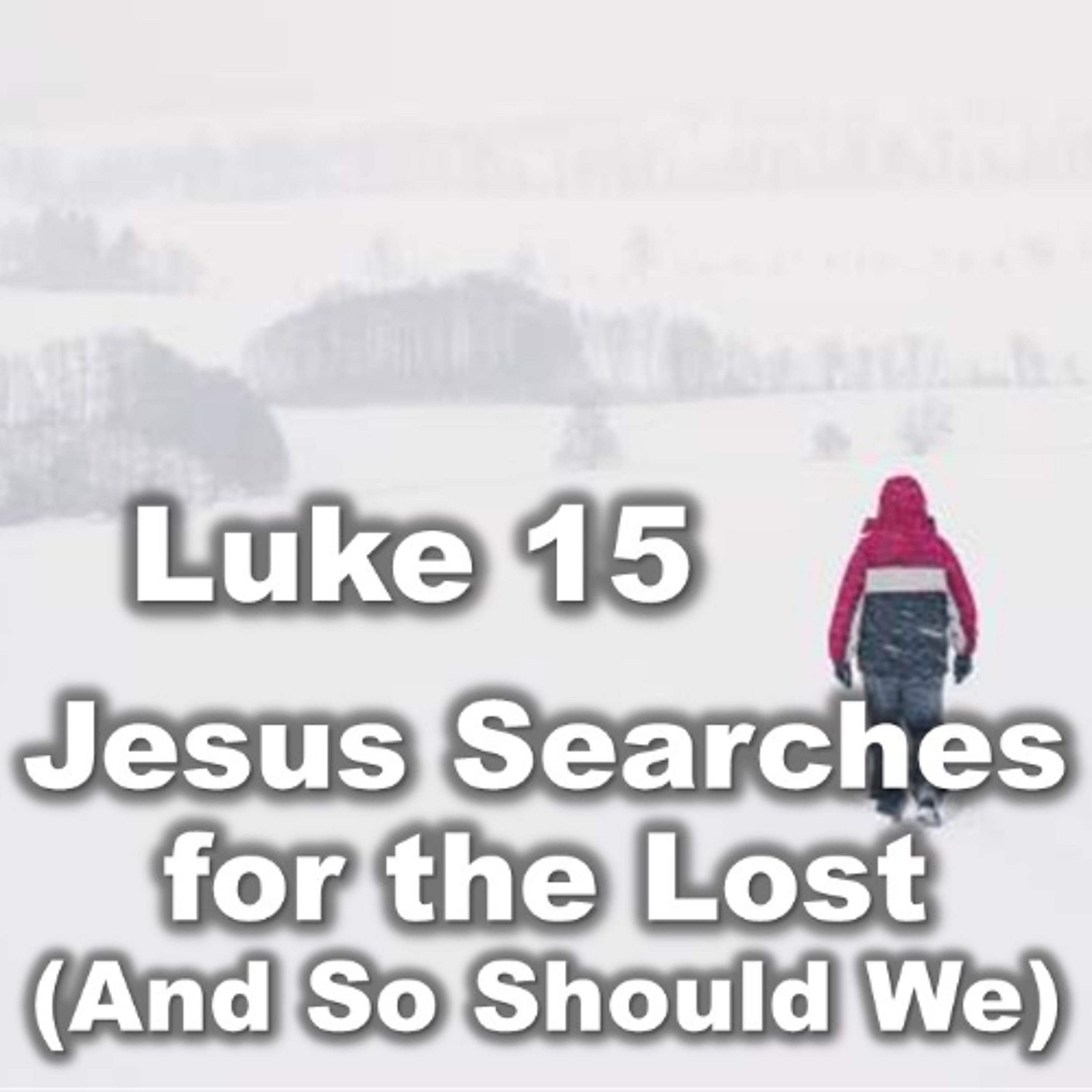 Jesus Searches for the Lost | A Sermon on Luke 15