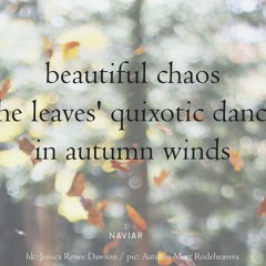 haiku #467: beautiful chaos / the leaves’ quixotic dance / in autumn winds