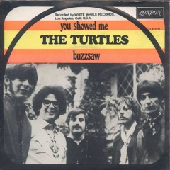 The Turtles - You Showed Me (Zohdy)