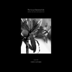 The Long-Cherished Lily (Main Title)