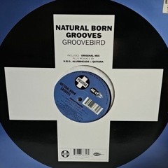 Temploit - NATURAL BORN GROOVES - Groovebird (Temploit TecHouse Club Remix)