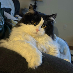 Dont Come Asking Me (prod. Mehti)