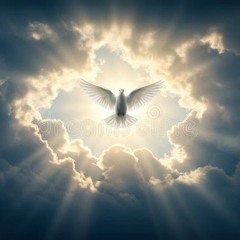 Miss The Rage (Prod.miraclemike)