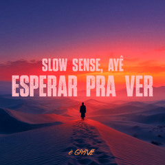 Evinha - Esperar pra ver (Slow Sense, Ayê Remix)