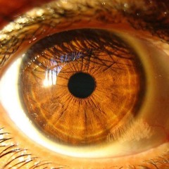 Pretty Brown Eyes