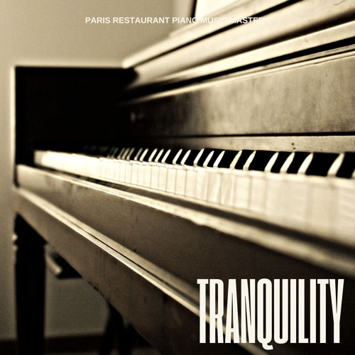 Stream Starry Night Sky by Paris restaurant Piano Music Masters ...